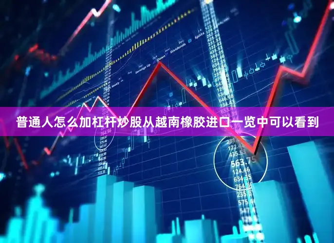 普通人怎么加杠杆炒股从越南橡胶进口一览中可以看到