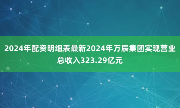2024年配资明细表最新2024年万辰集团实现营业总收入323.29亿元