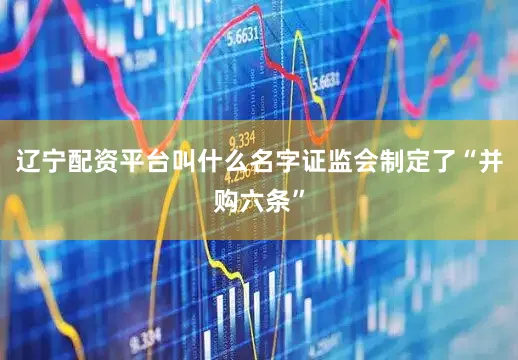 辽宁配资平台叫什么名字证监会制定了“并购六条”