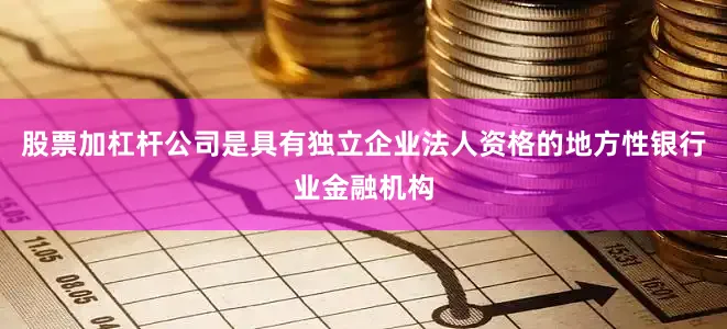 股票加杠杆公司是具有独立企业法人资格的地方性银行业金融机构