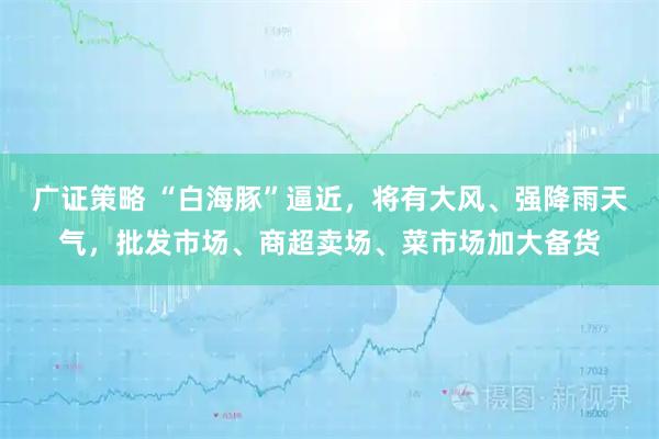 广证策略 “白海豚”逼近，将有大风、强降雨天气，批发市场、商超卖场、菜市场加大备货