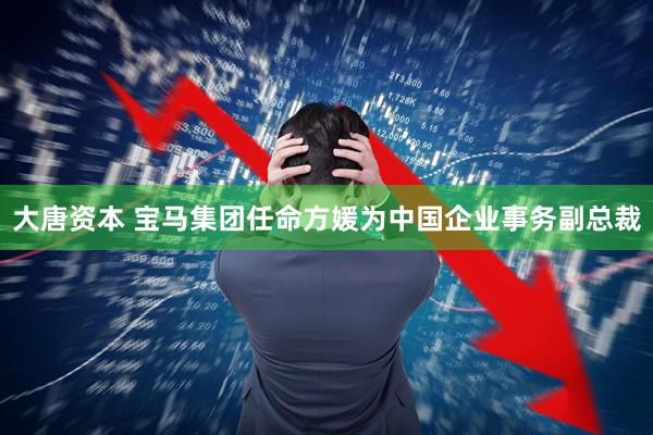 大唐资本 宝马集团任命方媛为中国企业事务副总裁